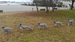20141130173614693.jpg