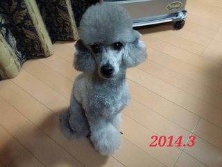 20150108170442503.jpg
