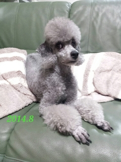 20150108170454688.jpg