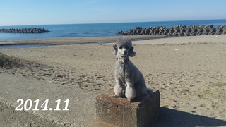 20150108170514214.jpg