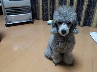 20150115144558078.jpg