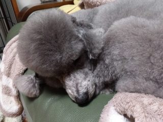 20150115145133815.jpg