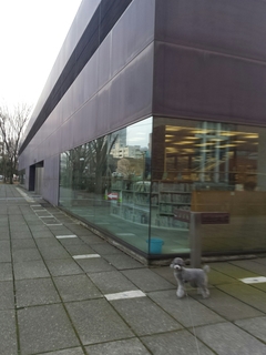 20150223235800211.jpg