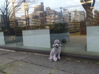 20150223235822591.jpg