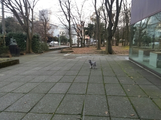 20150223235841664.jpg