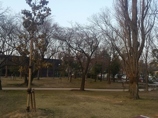 20150330182256438.jpg