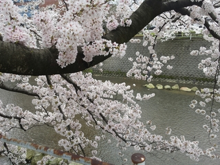 20150407210852588.jpg
