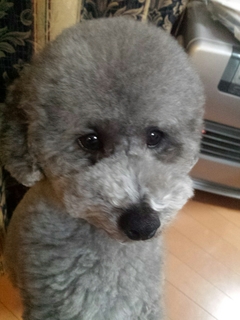 20150407211012030.jpg