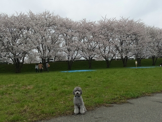 20150407214129292.jpg