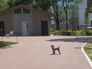 20150512220347314.jpg
