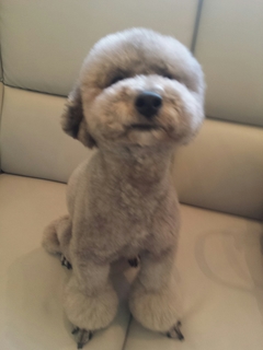 20150512220508176.jpg