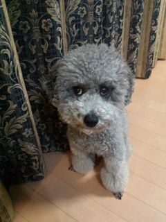 20150609180645131.jpg