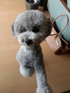 20150613121402531.jpg
