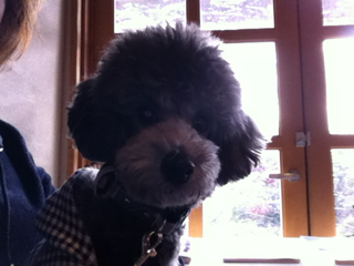 image-20120118090013.png