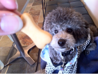 image-20120118090047.png