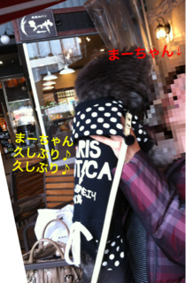 image-20120221193048.png
