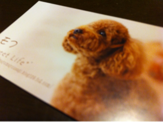 image-20120221193108.png