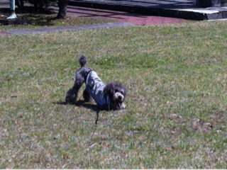 image-20120502162148.png