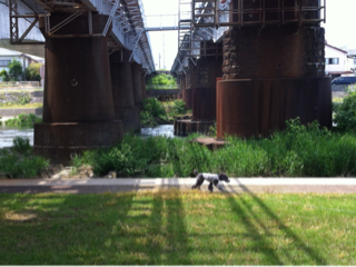 image-20120527233805.png