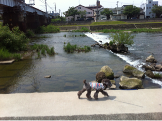image-20120527233830.png