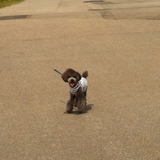 image-20120527233914.png