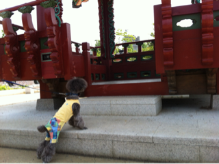 image-20120527234556.png
