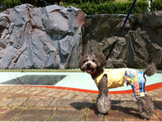 image-20120527234728.png