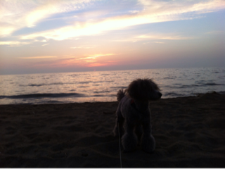 image-20120815230810.png