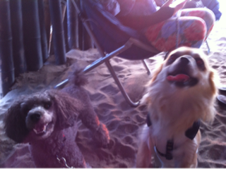 image-20120815230953.png