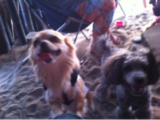 image-20120815231052.png