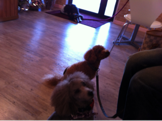 image-20121015203657.png