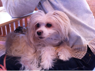 image-20121015203738.png