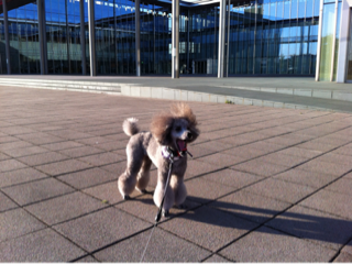 image-20121015203911.png