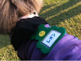 image-20121024151826.png