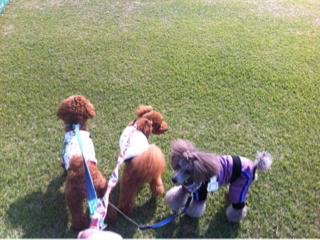 image-20121024151844.png