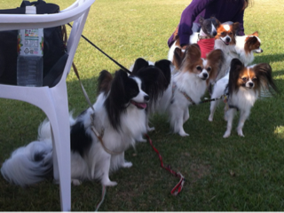 image-20121024152448.png