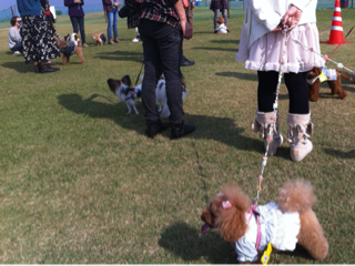 image-20121024152504.png