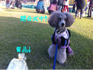 image-20121024152532.png