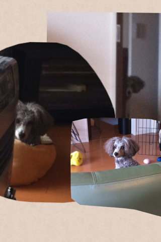 image-20121101183514.png