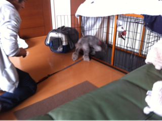 image-20121219195133.png