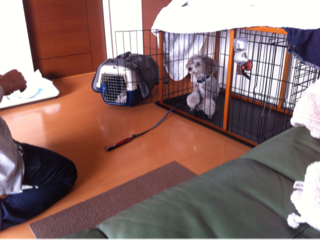 image-20121219195146.png