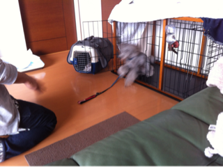 image-20121219195201.png