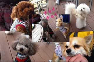image-20130328133230.png