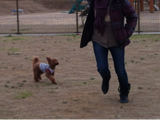image-20130330165634.png