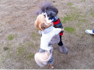 image-20130330165909.png