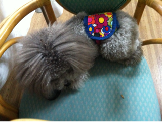 image-20130515221604.png