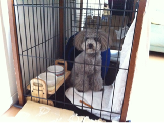 image-20130515221846.png