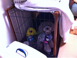image-20130515221927.png