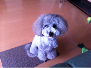 image-20130515223738.png