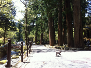 image-20130522210558.png